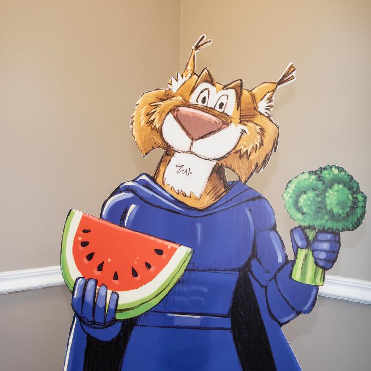 wallycat